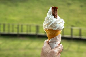 ice-cream-cone-1579124_640